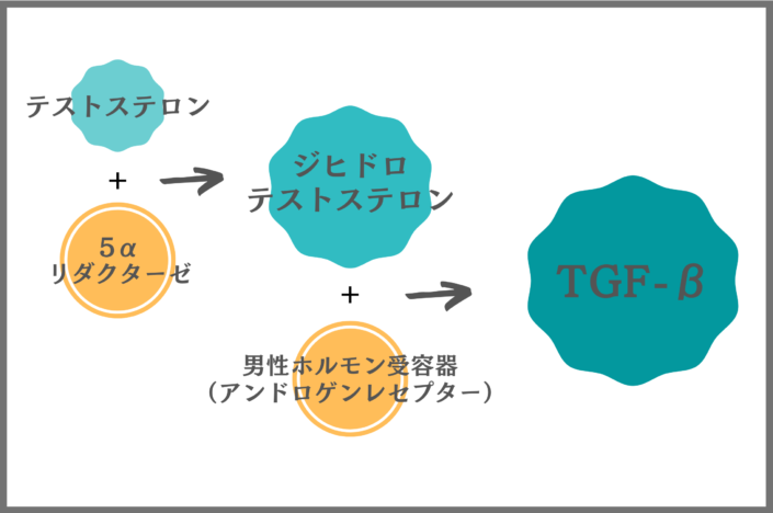 AGAを発症している場合