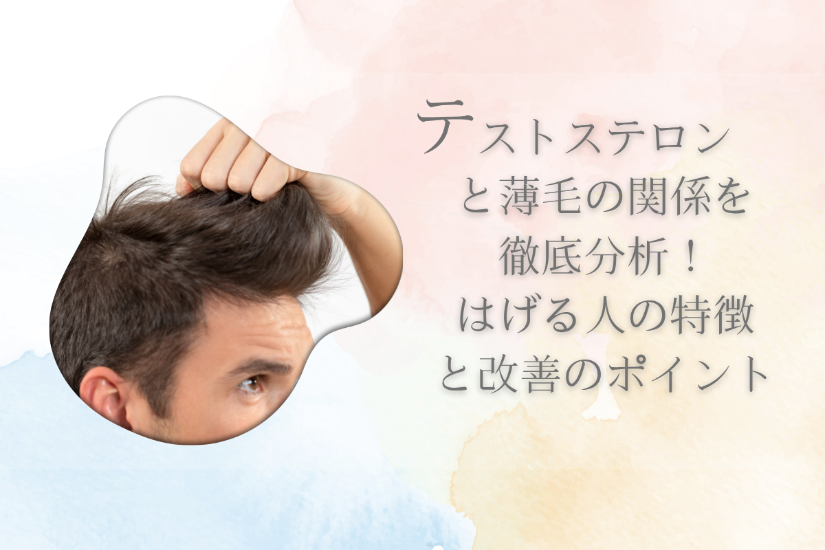 テストステロンと薄毛の関係を徹底分析！はげる人の特徴と改善のポイント