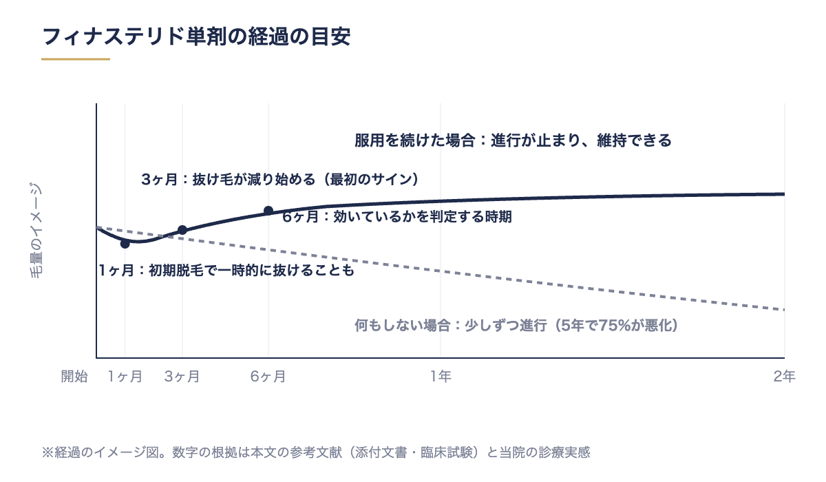 フィナステリドの効果はいつから：1ヶ月は初期脱毛、3ヶ月で抜け毛が減り始め、6ヶ月で判定。続ければ進行が止まり維持できる。何もしない場合は5年で75%が悪化